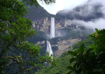 selva peruana