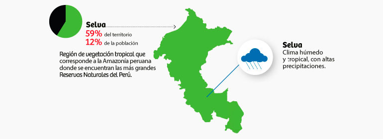 selva del peru